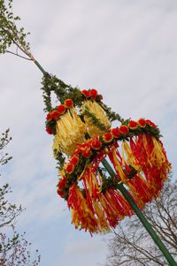 Maibaum